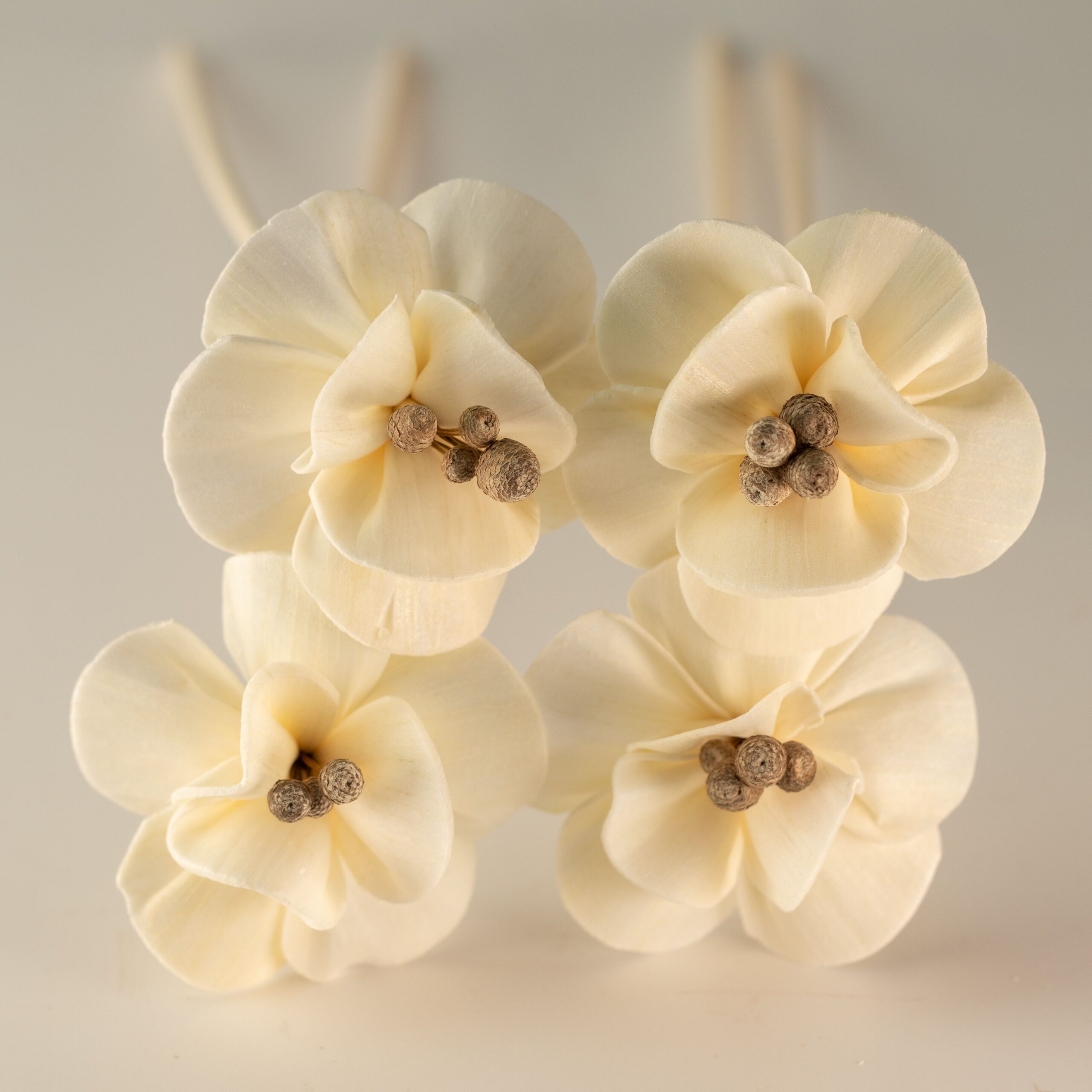 Natural Diffuser Flowers – Lily on Reed - Image 7