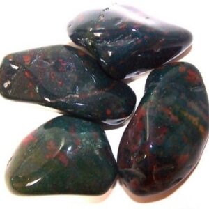 Pack of 24 Bloodstone L (B grade)