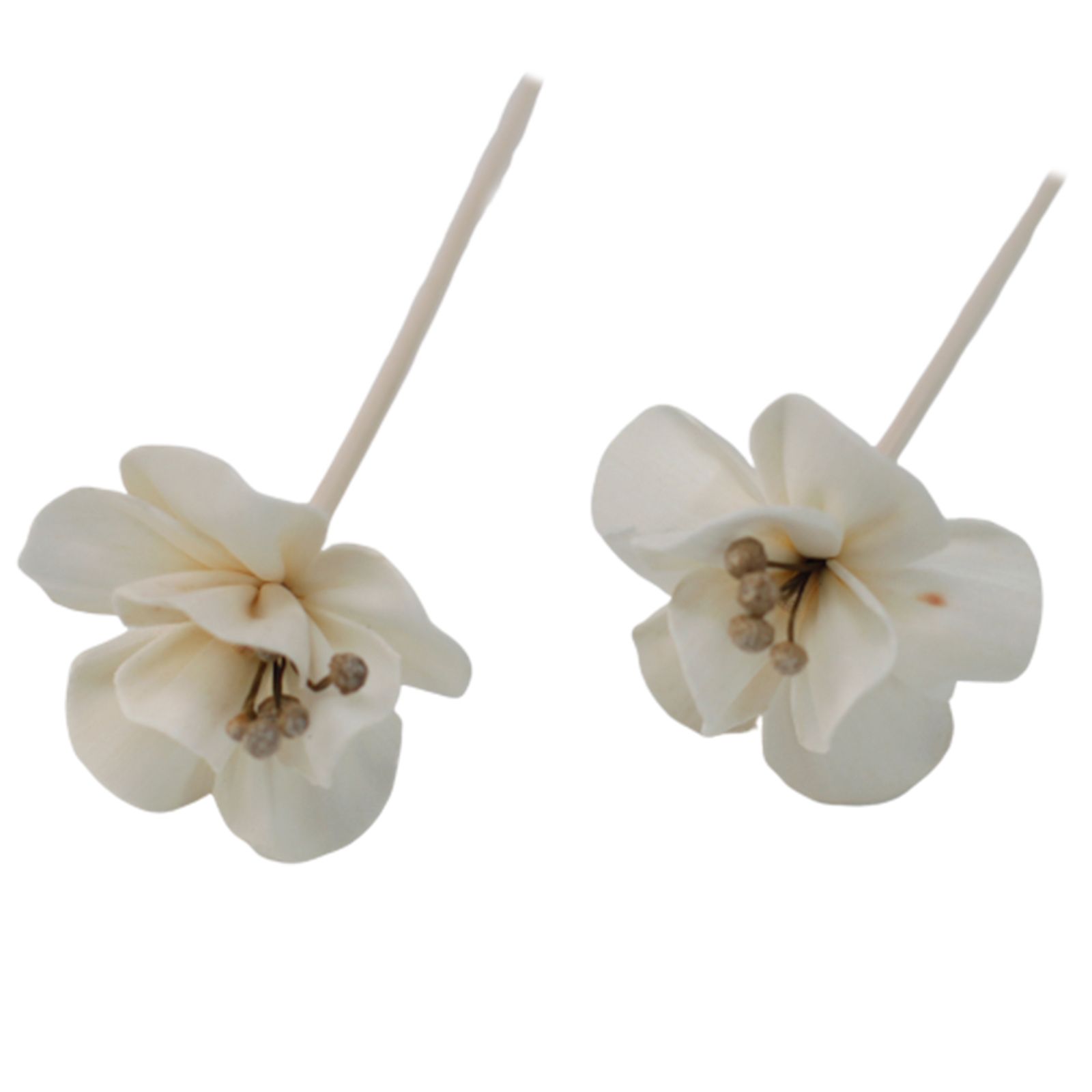 Natural Diffuser Flowers – Lily on Reed - Image 3