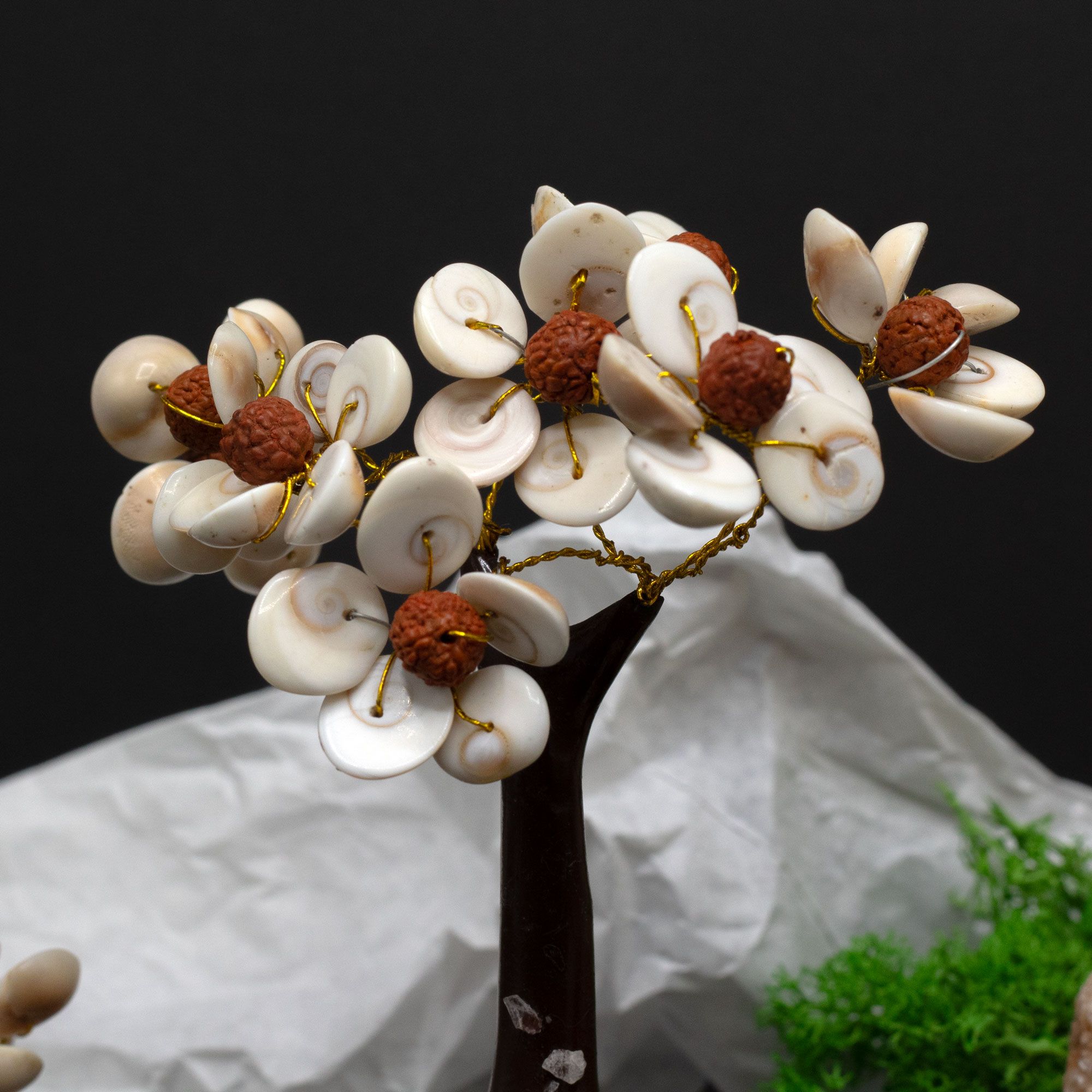 Med Gomati Chakra Circle Stone Trees with Rudraksha - (45 stones) - Image 2